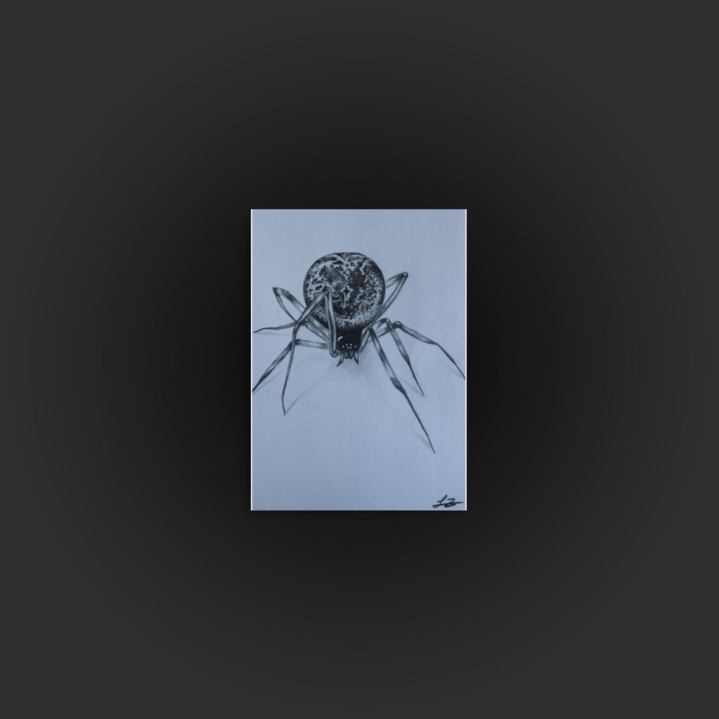 Spider Sketch Mini Print