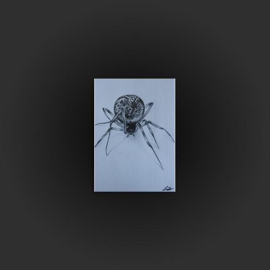 Spider Sketch Mini Print